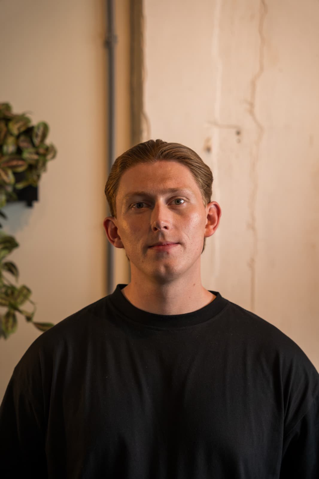 Diek — Shopify Developer